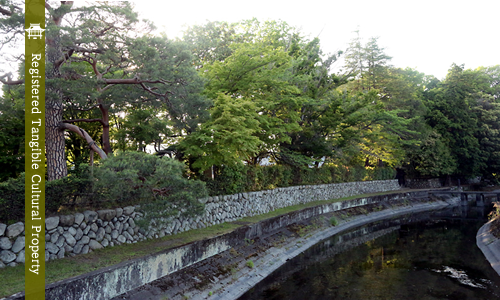 Tamagawa Canal