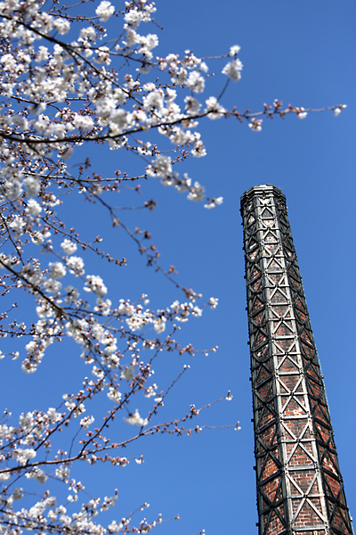 The brewery in spring