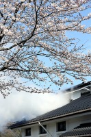 春の酒蔵