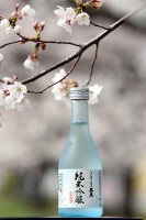 春 純米吟醸