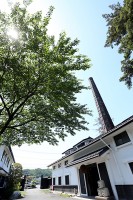 新緑の酒蔵