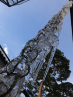 2016.1.20 9:01