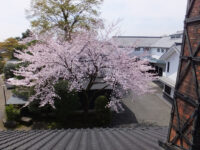2016.4.6 11:09