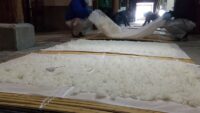 大吟醸の添仕込み～さらし２