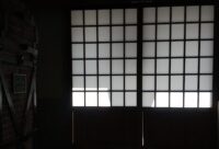障子に映り込む酒林～酒造り順調です