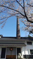 桜日和です～空と桜と酒造蔵