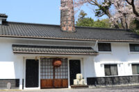 桜が舞い、花びらの絨毯がお出迎え