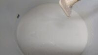 自家培養酵母の酒母(酛)仕込３